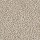 Masland Carpets: St Augustine Amazing